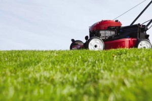 Maintaining-Your-Lawn-As-You-Age